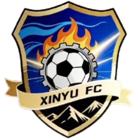 Xinyu Team