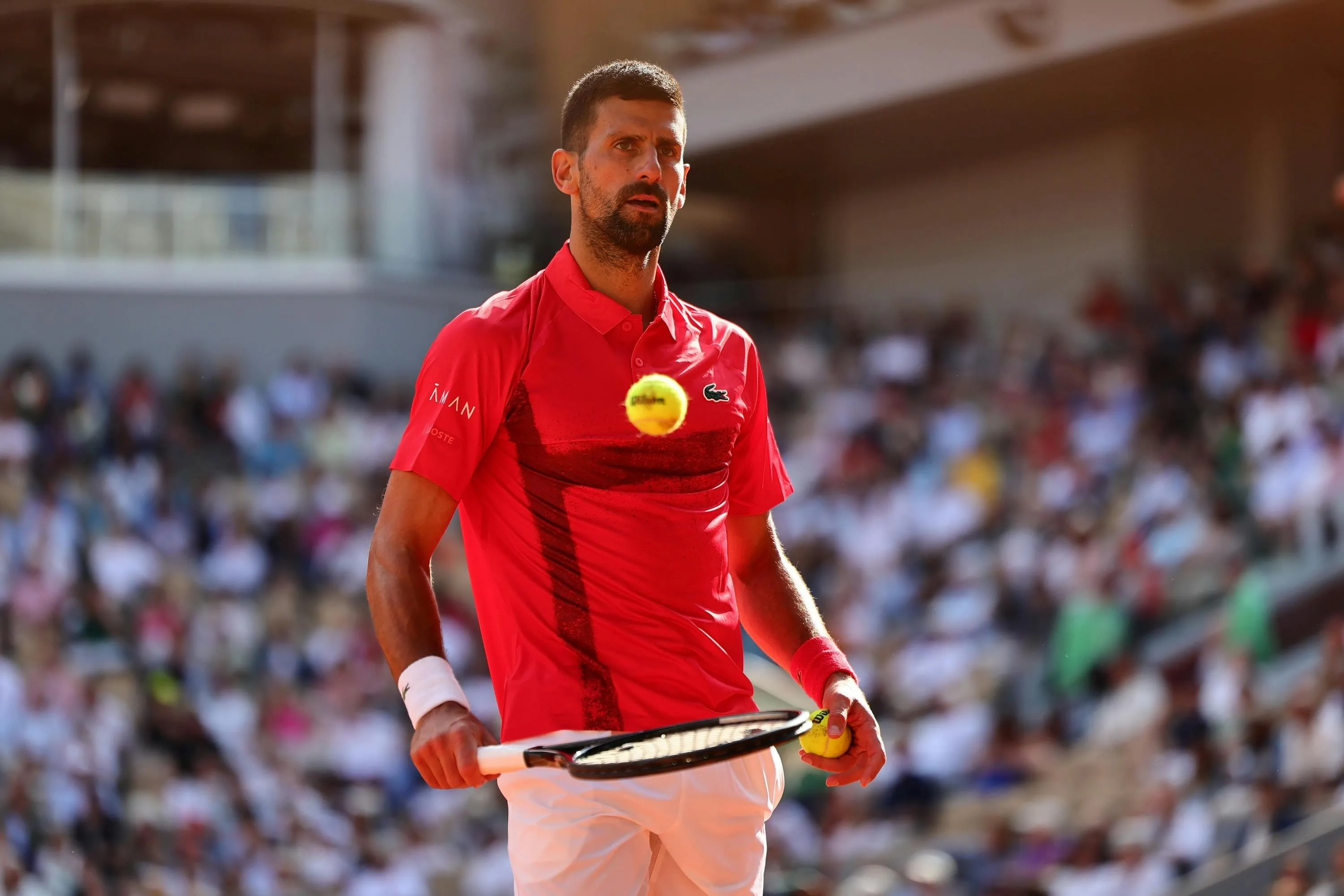 Bisakah Djokovic mendaki gunung?